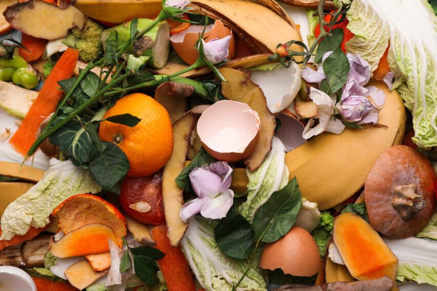 Pile of food waste